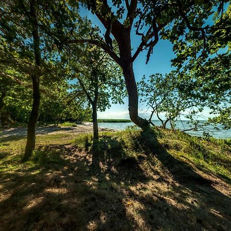 Traumhaff Kustenchalets: Lärchenwoodchalets mit Kamin und Sauna an der Ostsee Vogelsang-Warsin Exterior photo