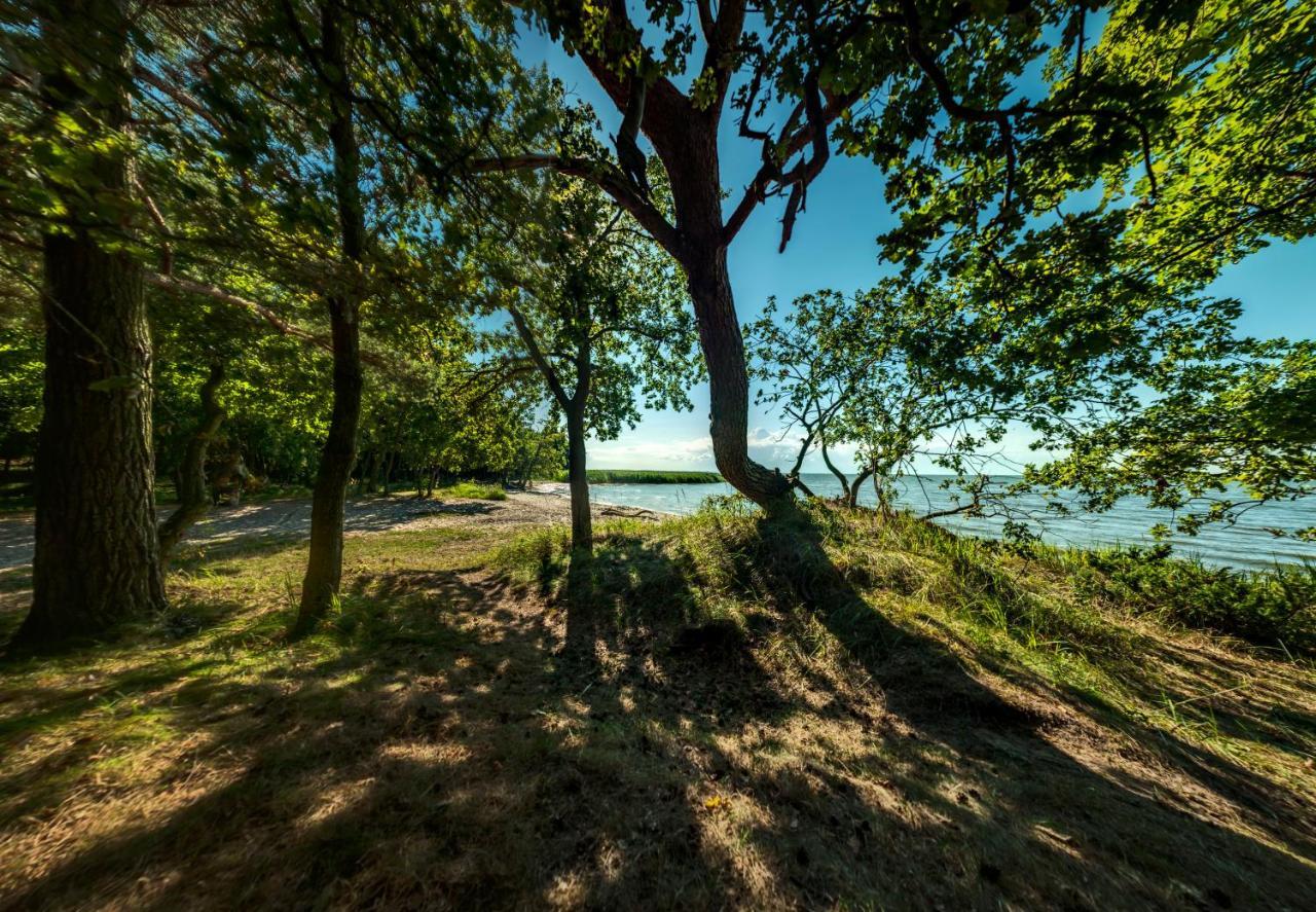 Traumhaff Kustenchalets: Lärchenwoodchalets mit Kamin und Sauna an der Ostsee Vogelsang-Warsin Exterior photo
